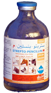 ستربتوبنسلين م