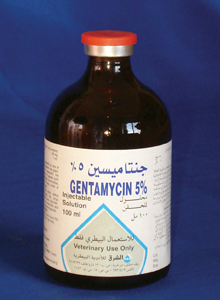 Gentamycine 5%