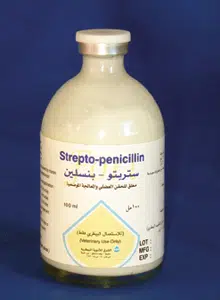 Strepto Penicillin fort Injection veterinary