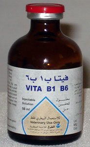 Vita B1B6