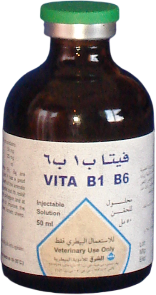 vitamin b12 b1 b6 injections Vita B1B6 Injection veterinary