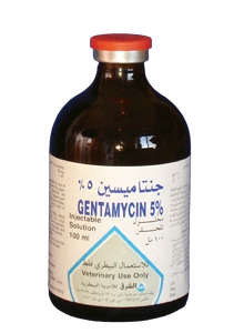 جنتامايسين 5%
