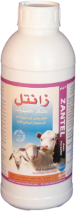 زانتل