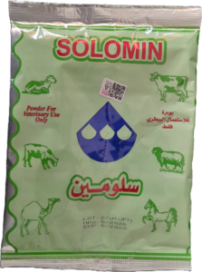 سلومين
