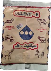 سيلفيت هـ